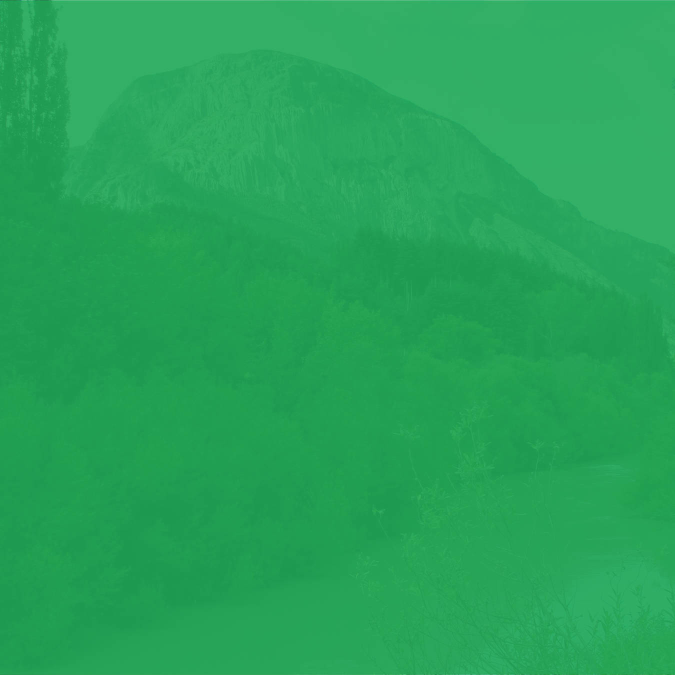 Renaciendo Capacitaciones en la Región de Aysén